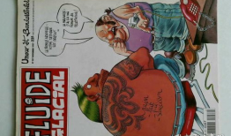 漫画期刊,描绘多彩世界，传承文化魅力