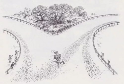 漫画人与马,人与马的和谐交响