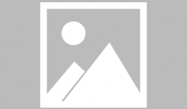 飒漫画金鱼,飒漫画中的奇幻冒险之旅